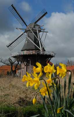 Unsere Mühle im Frühling