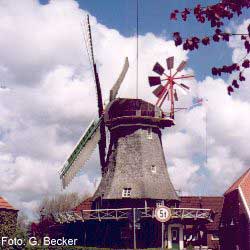 Windmhle in Accum
