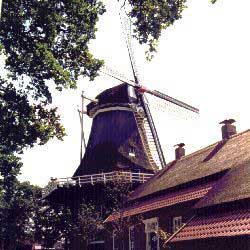 Windmhle in Felde